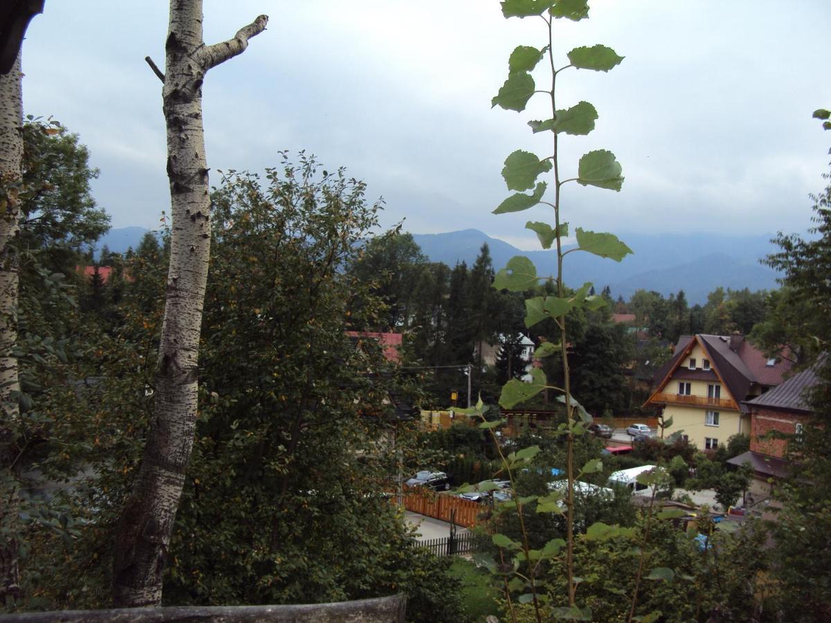 Maly Domek Pod Lasem Zakopane Exterior photo